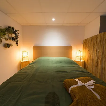 Апартаменты Appartunique - Chez Helder Виши