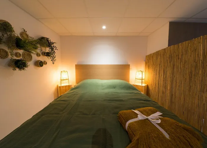 Апартаменты Appartunique - Chez Helder Виши